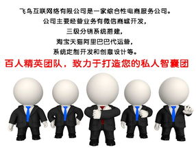 淘寶代運營模式解析 飛鳥互聯如何通過在線咨詢提供專業信息咨詢服務